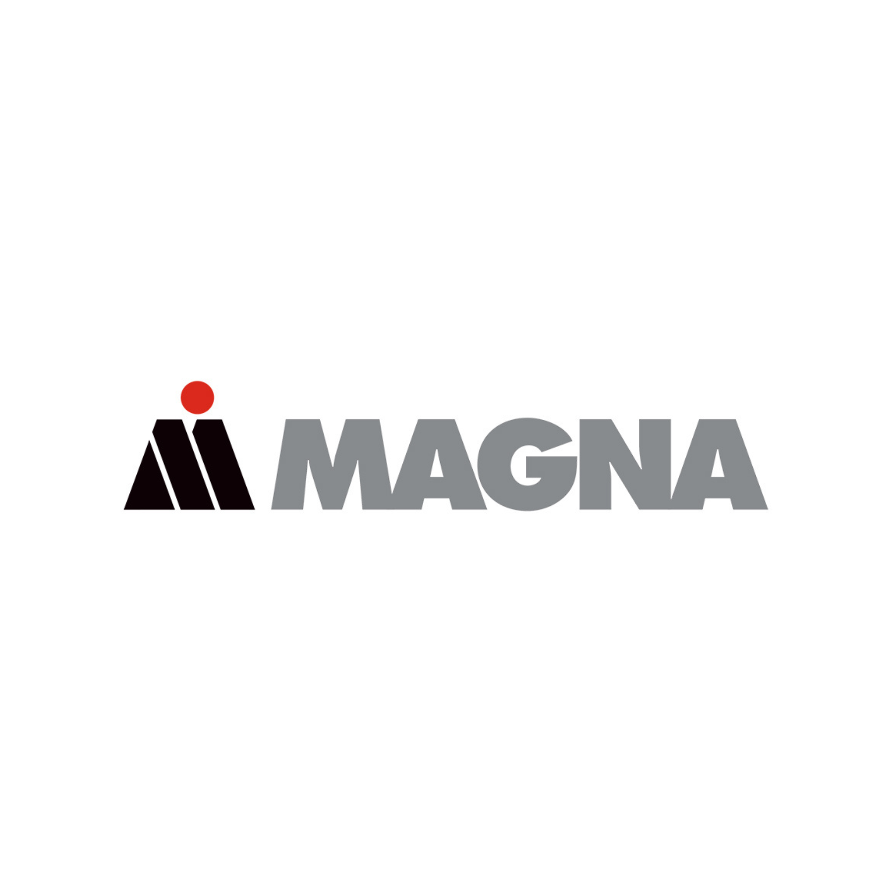 Eduard Allmer, Firma Magna Energy-WEIZ